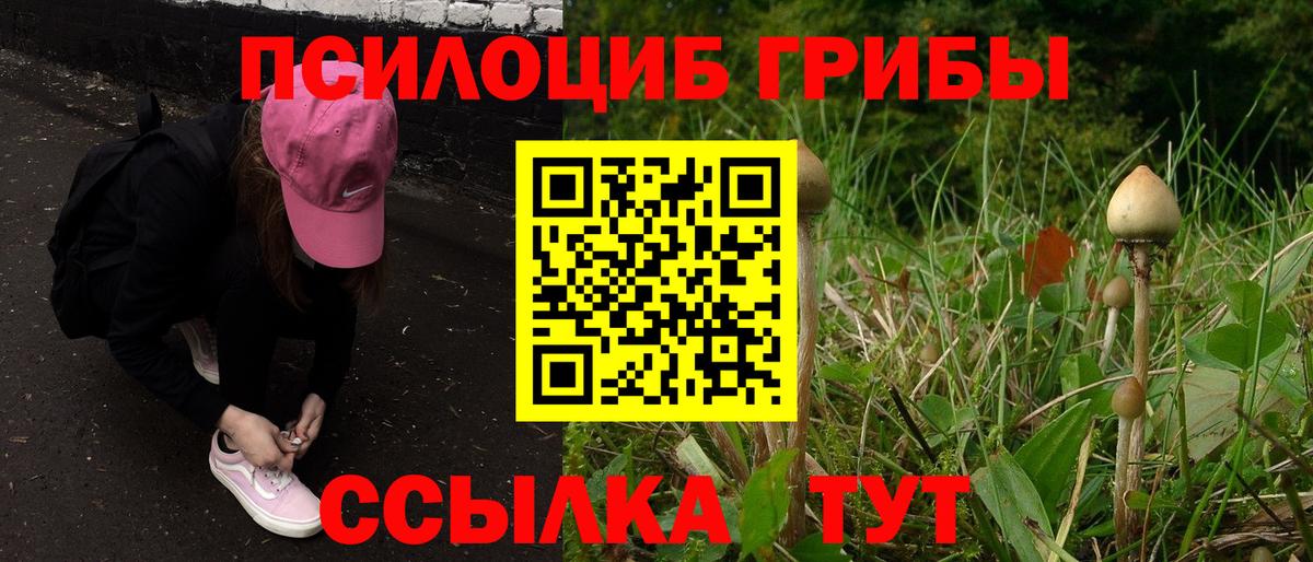 Железногорск  Псилоцибиновые грибы Psilocybe  Галлюциногенные грибы Psilocybe  Вход с VPN 